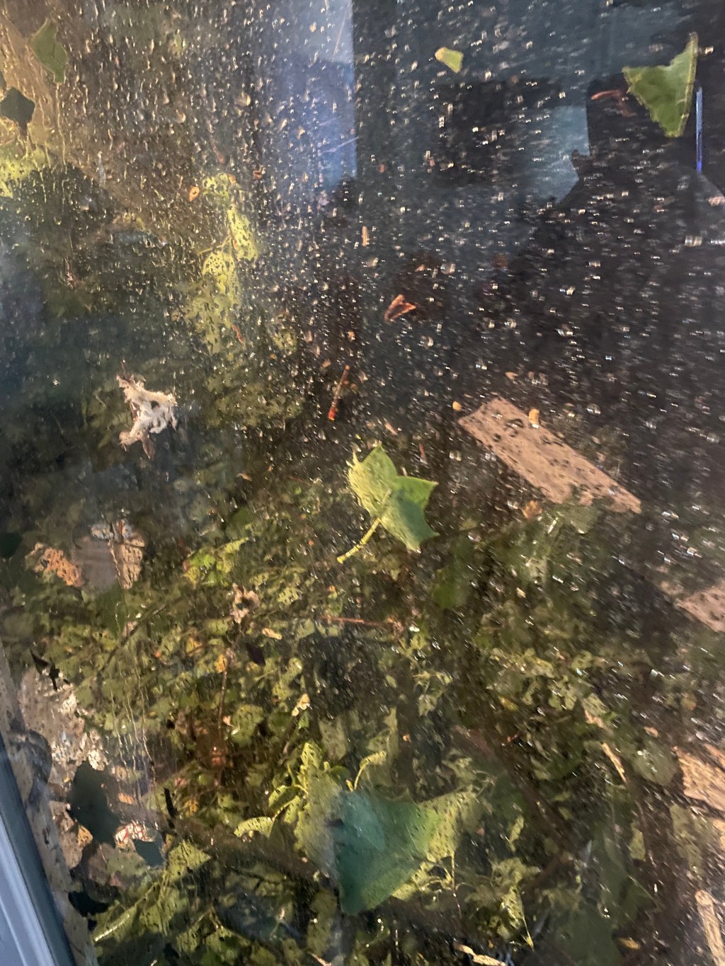 I Really Needs Things to Stop&nbsp;Happening